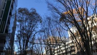 冬の定禅寺もいいです。