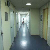 廊下。