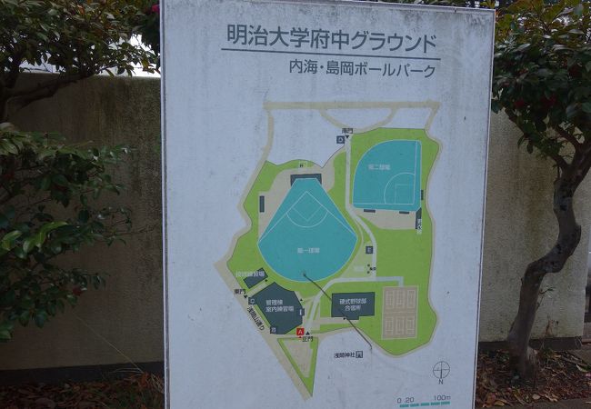 明治大学の野球場