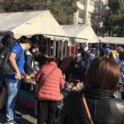 東京 今週末開催のイベント フォートラベル 東京 今週末開催のイベント フォートラベル