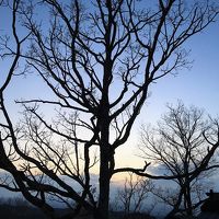 樹々に囲まれ月を愛でる（貸切露天風呂「天空」）