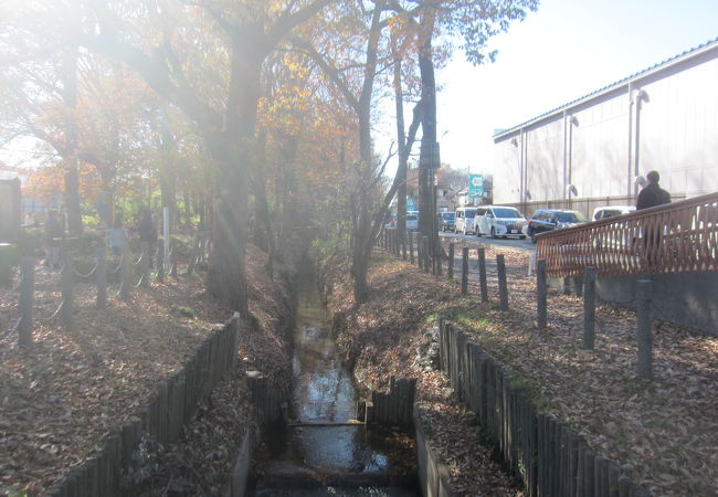 野火止用水に沿った道路です