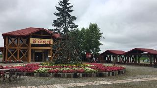 全国区で有名な「花畑牧場」～中礼内町～