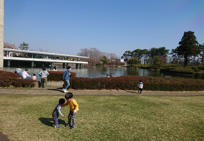 鯉が沢山いる池と展望台のある公園
