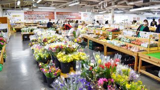 夏には川遊びもできる道の駅。