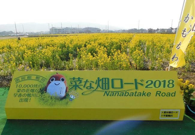 菜な畑ロード クチコミ アクセス 営業時間 鴨川 フォートラベル