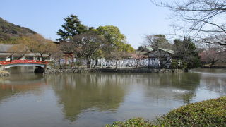 鯉、亀もいて空気が美味しく癒されます。