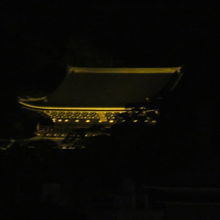 暗闇に浮かぶ三門。