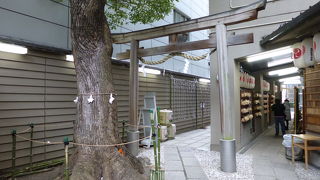 休日でも参拝者が多かったです