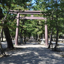 松の馬場 