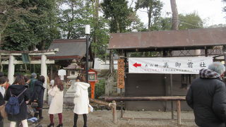 美人になってくださいね