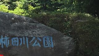 何度行っても良い