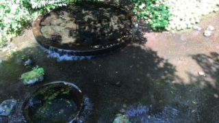 三島といえば・・・