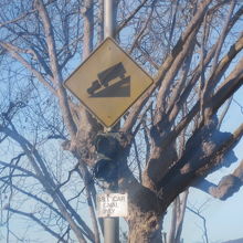 結構な急勾配なので体力的には大変です…