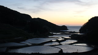 美しい棚田です