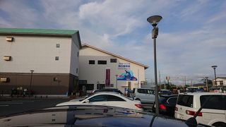 さかなクンギャラリーがすごい