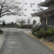 政秀寺境内