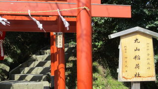 赤い鳥居が連なっていて狛狐様も鎮座してます