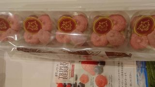 フェスティバロ♪