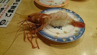 回転寿司と侮れないクオリティ