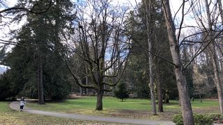 都会のオアシス。