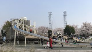 お花見出来る公園