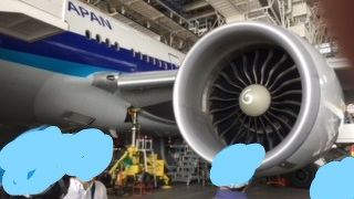 ANAもJALも、どちらも良し