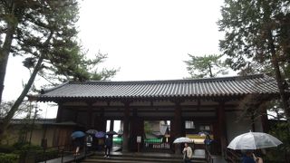 他のお寺の南大門に比べて低い気がします。