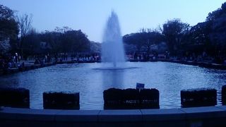 ダイナミックな写真スポットです。