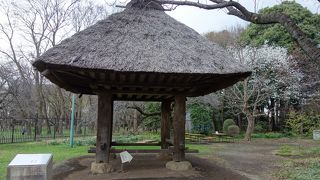 想像以上に高い高床式