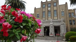 威厳のある歴史ある庁舎建築。南国らしい雰囲気もGood