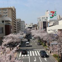 駅直結のテラスよりイトーヨーカドー方面を撮影