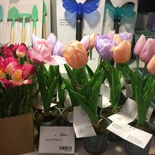 渋谷 フライングタイガー