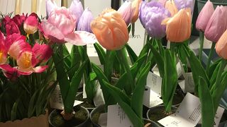 渋谷 雑貨屋さん