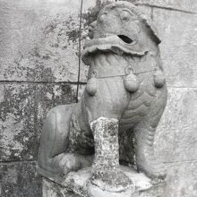 下顎を出してる？