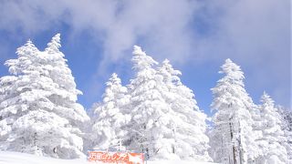 雪質と温泉はいいですが