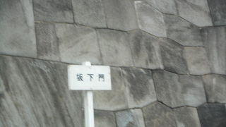 初めて皇居内へ桜見物