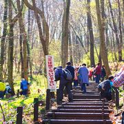 万葉集にも歌われた山で自然公園になっています