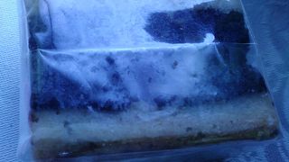 ププリエ エキュート大宮店