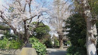 旧藤沢街道（八王子街道）沿いにあるお寺