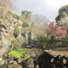 熱海梅園にある梅見の滝