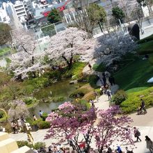 上から見下ろす