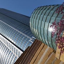 ヒルズを見上げる