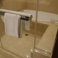 シャワーブースが洗い場になっています