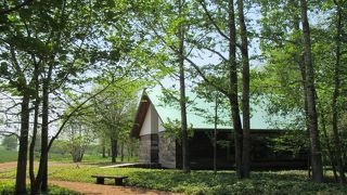 氏の人生を知る