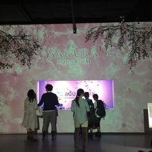 サクラアクアリウム