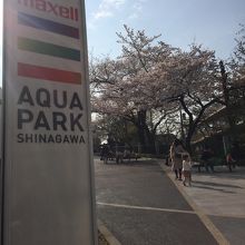 外観といちょう坂