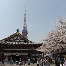 大殿のバックは東京タワー