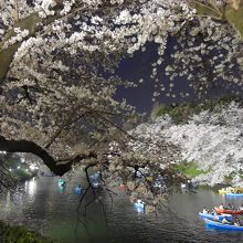 ボートも気持ちよさそうでした