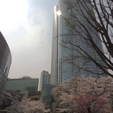 ヒルズをバックに